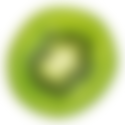 https://beibidinos.com.mx/wp-content/uploads/2017/05/kiwi.png